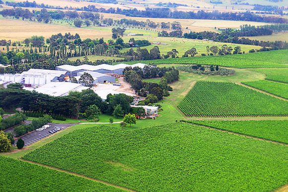 The Best Wineries in the Yarra Valley - MELBOURNE GIRL